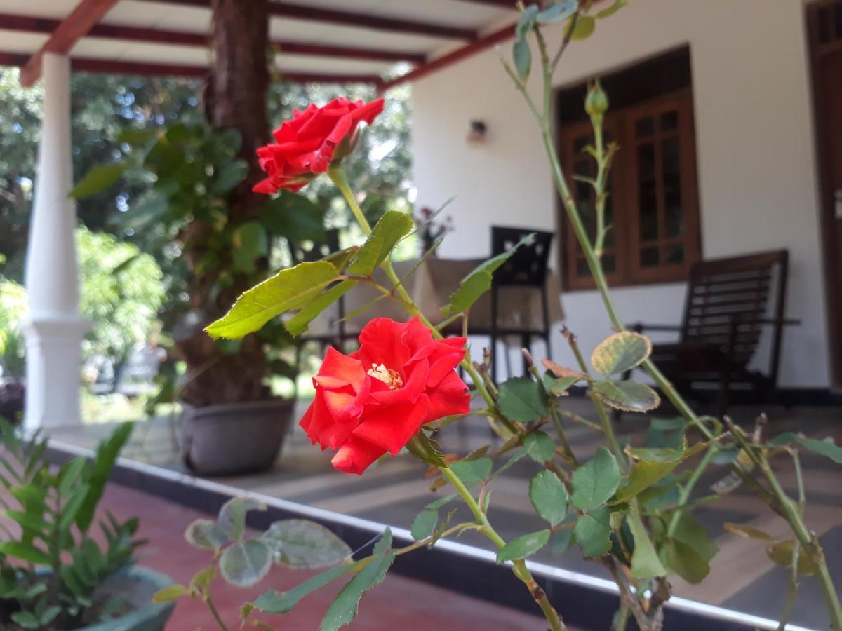 Danara Homestay Sigiriya Eksteriør billede